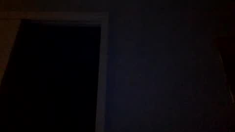 Snapshot of tylerdurden256 chatting on March 4, 2025, 12:29 am Tyler Durden online show from March 4, 2025, 12:29 am