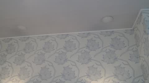 Snapshot of tyrafox_ chatting on December 5, 2025, 11:19 am tyrafox online show from December 5, 2025, 11:19 am