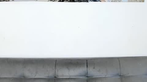 Dvid Rullers online show from January 9, 2026, 1:19 am