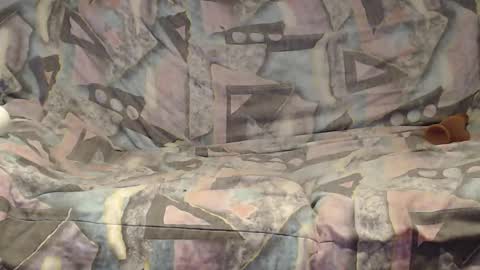 Snapshot of tyson2525 chatting on January 10, 2026, 4:47 am Helena and Tyson online show from January 10, 2026, 4:47 am