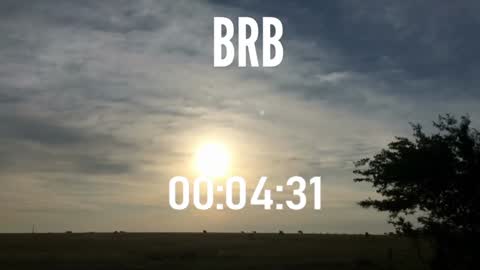 ulmo_br online show from December 15, 2024, 10:58 pm