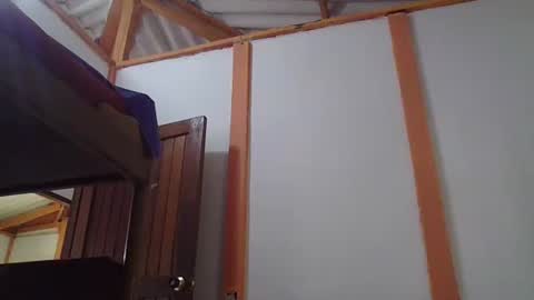 ulramon11 online show from January 24, 2025, 9:47 pm