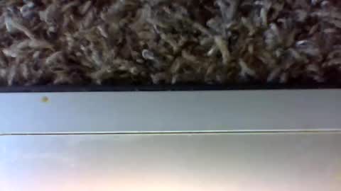 Snapshot of uncut_papi1989 chatting on January 24, 2025, 6:25 pm tele kuzhbuzh online show from January 24, 2025, 6:25 pm