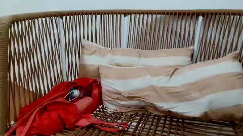 Snapshot of underground33 chatting on January 16, 2025, 8:57 pm Under Huge cock with beautiful uncut foreskin online show from January 16, 2025, 8:57 pm