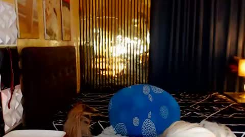 BRIANNA online show from July 1, 2026, 2:13 am
