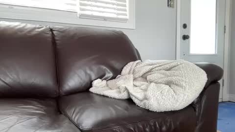 ungerisland online show from March 9, 2025, 7:26 pm