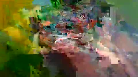 ur_zaddy4now online show from January 24, 2025, 11:37 am