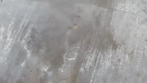 urdreamboy_clarin online show from April 21, 2026, 12:44 pm