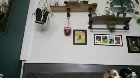 MYMY online show from February 8, 2026, 3:43 am