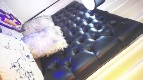 Snapshot of urtrans_princess chatting on February 3, 2026, 11:54 pm Maria Im looking for a local and socal fucking guy online show from February 3, 2026, 11:54 pm