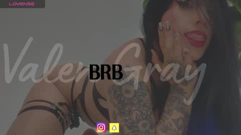 Snapshot of valengray chatting on January 17, 2025, 12:42 pm Valen online show from January 17, 2025, 12:42 pm