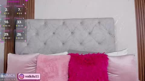 Snapshot of valkilu11 chatting on November 15, 2025, 1:03 am valkilu11 online show from November 15, 2025, 1:03 am