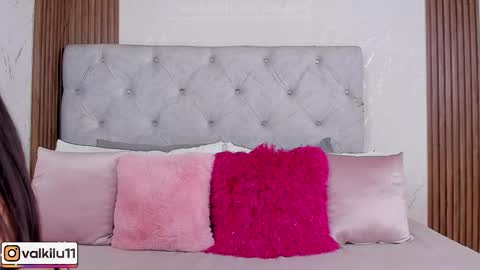 Snapshot of valkilu11 chatting on February 17, 2026, 12:07 am valkilu11 online show from February 17, 2026, 12:07 am