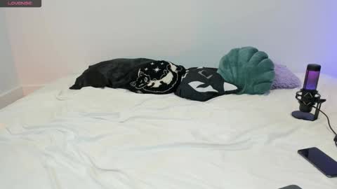 Vamppire Girl   online show from November 21, 2025, 7:56 pm