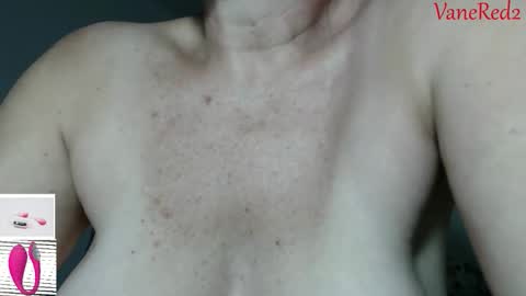 Snapshot of vanessared2 chatting on February 25, 2026, 11:47 pm Vanesared2 online show from February 25, 2026, 11:47 pm