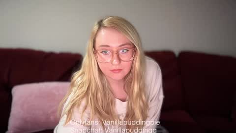 Snapshot of vanillapuddingpie chatting on December 5, 2024, 3:26 am vanillapuddingpie online show from December 5, 2024, 3:26 am
