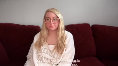 Snapshot of vanillapuddingpie chatting on December 5, 2024, 7:49 pm vanillapuddingpie online show from December 5, 2024, 7:49 pm