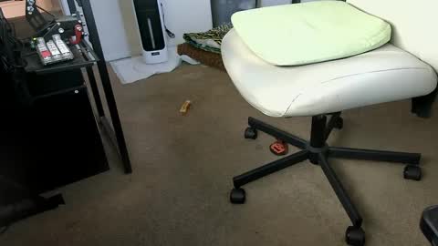 Snapshot of vegasnightowl chatting on October 7, 2025, 2:36 pm vegasnightowl online show from October 7, 2025, 2:36 pm