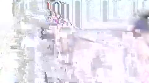 velvet online show from January 10, 2025, 8:04 pm