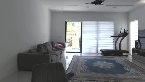 Snapshot of velvettgirl chatting on February 21, 2026, 3:24 pm VelvetTGirl online show from February 21, 2026, 3:24 pm