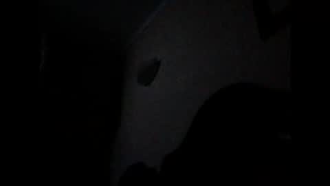 ven1977 online show from October 26, 2025, 10:47 pm