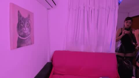 venus_velvet online show from November 19, 2025, 6:35 am