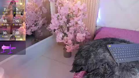 Snapshot of veronica_hill_ chatting on June 18, 2026, 3:18 am veronica_hill_ online show from June 18, 2026, 3:18 am