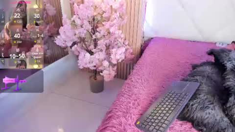 Snapshot of veronica_hill_ chatting on June 24, 2026, 3:05 am veronica_hill_ online show from June 24, 2026, 3:05 am