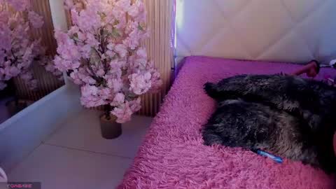 Snapshot of veronica_hill_ chatting on July 1, 2026, 2:57 am veronica_hill_ online show from July 1, 2026, 2:57 am
