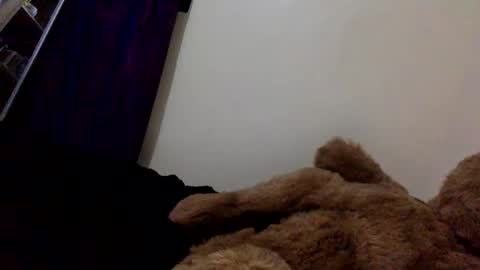 Snapshot of veryberrry chatting on April 13, 2026, 10:04 pm DarkBerryBliss online show from April 13, 2026, 10:04 pm