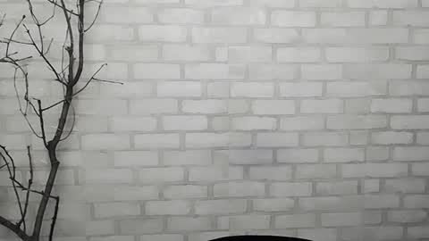 Ana online show from January 16, 2025, 5:33 pm