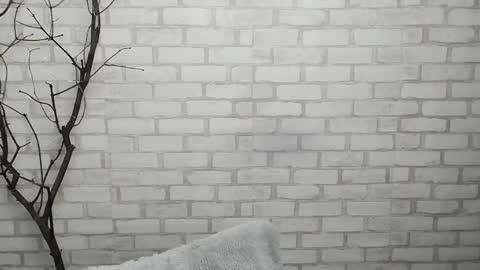 Ana online show from January 28, 2025, 12:43 pm