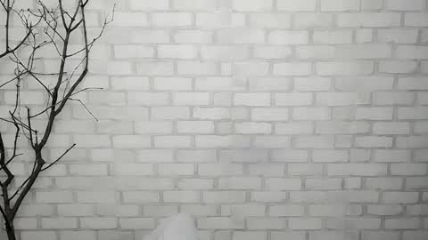 Ana online show from March 10, 2025, 9:10 am