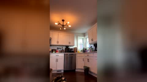 vic_cd online show from April 8, 2026, 11:54 am