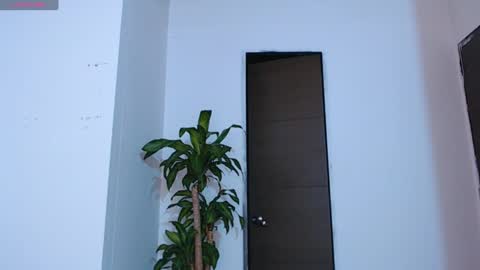 Vic online show from December 20, 2024, 11:47 pm