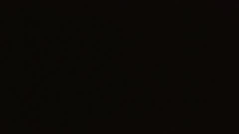 Snapshot of victoria_lover444 chatting on May 12, 2026, 3:14 am Victoria Lover online show from May 12, 2026, 3:14 am