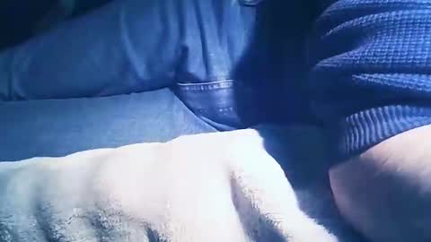 vicvictoree online show from February 1, 2026, 7:01 pm