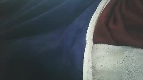 vicvictoree online show from February 11, 2026, 1:27 pm