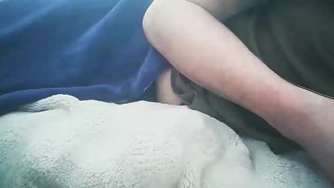 vicvictoree online show from February 12, 2026, 1:39 pm