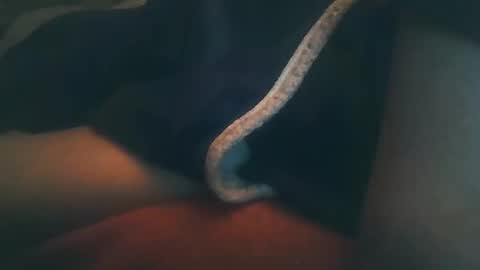 vicvictoree online show from February 22, 2026, 10:41 pm