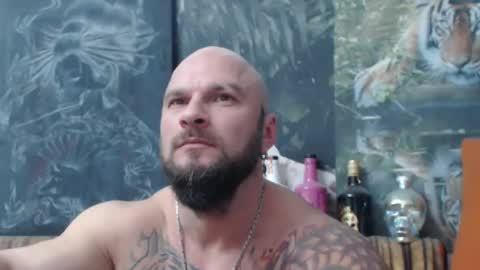 viking online show from November 8, 2025, 7:56 pm