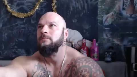 viking online show from February 1, 2026, 8:02 am