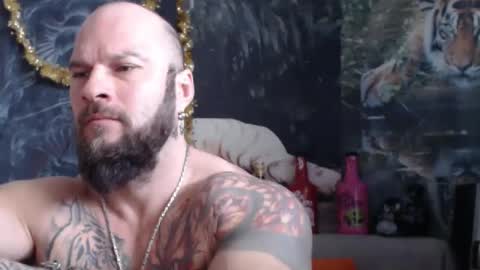 viking online show from February 11, 2026, 7:35 am