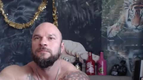 viking online show from March 28, 2026, 8:14 am