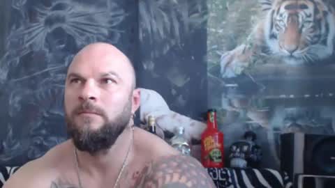 viking online show from April 14, 2026, 6:19 am