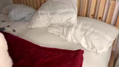 Vince online show from February 1, 2025, 10:23 pm