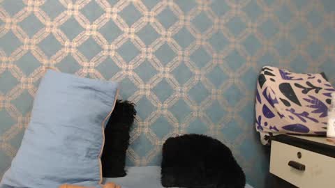 Snapshot of violeta_cute18 chatting on December 18, 2024, 1:15 am Violeta online show from December 18, 2024, 1:15 am