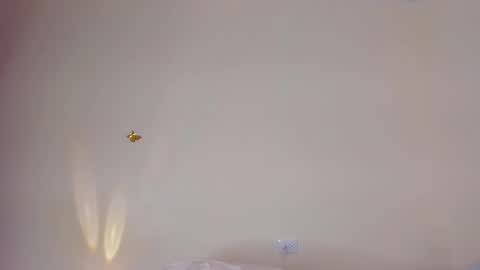 violett_24_ online show from November 29, 2025, 11:30 pm