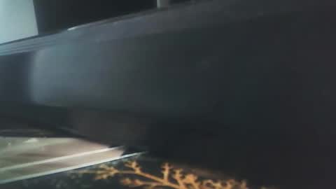 vip_90_daniele online show from December 17, 2025, 10:54 am