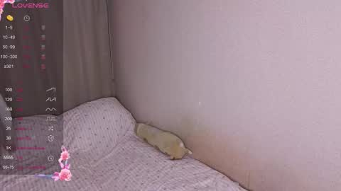 Snapshot of vitterrick chatting on November 25, 2025, 4:07 pm vitterrick online show from November 25, 2025, 4:07 pm